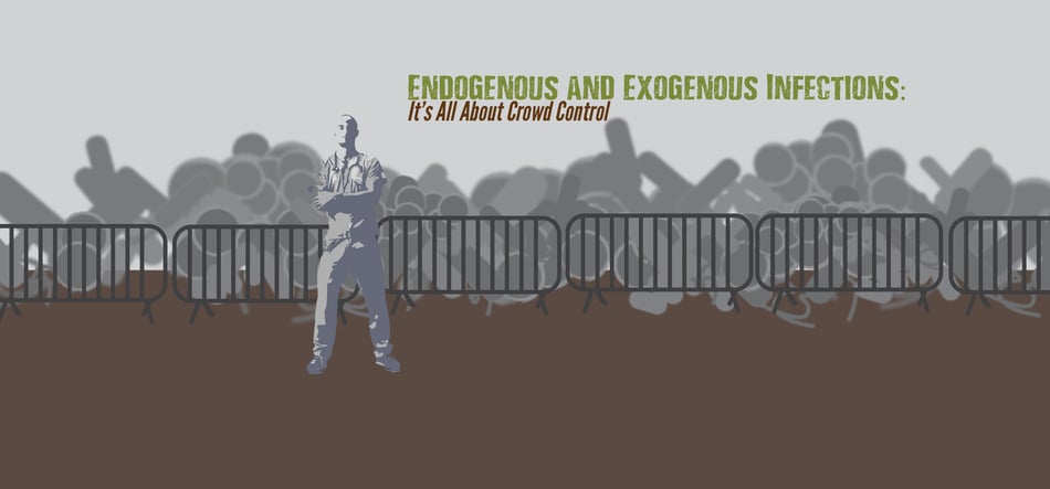 Endogenous vs. Exogenous Infections: It's All About Crowd Control