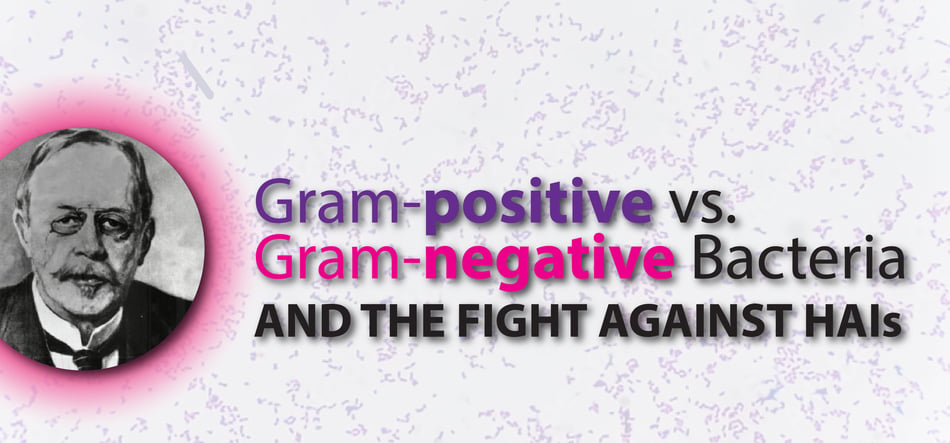 Gram Positive vs Gram Negative Bacteria and the Fight Against HAIs