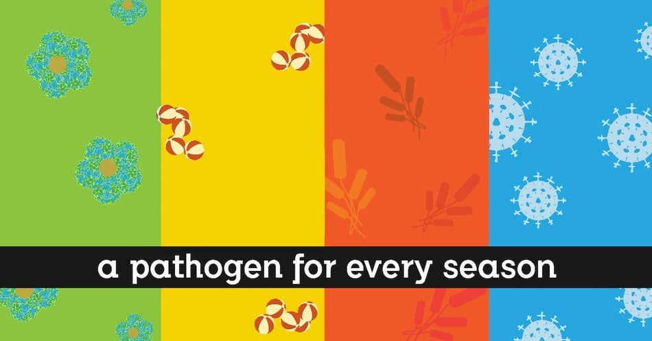 A Pathogen for All Seasons: Seasonality in HAIs