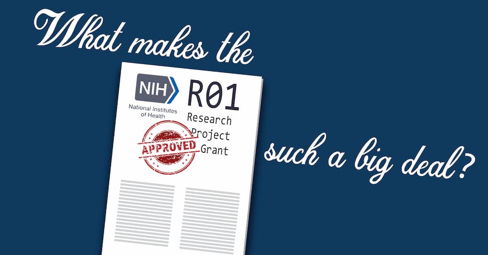 Why are R01 NIH Grants Such a Big Deal?