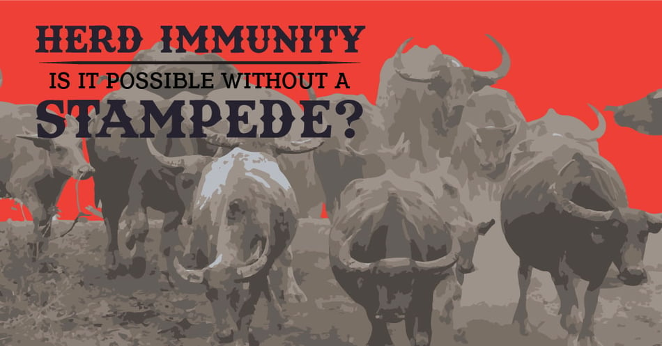 Herd Immunity: Is It Possible Without A Stampede?