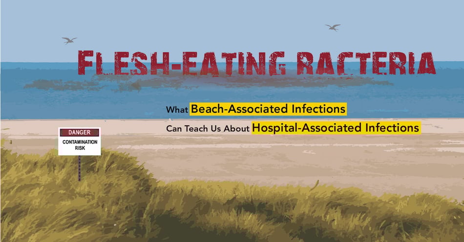 Flesh-Eating Bacteria: What Beach-Associated Infections Can Teach Us About HAIs