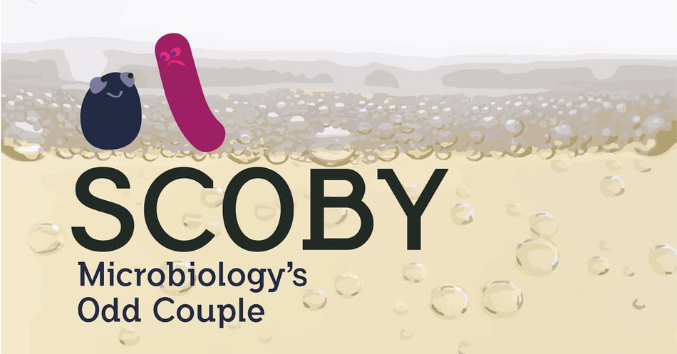 SCOBY: Microbiology's Odd Couple