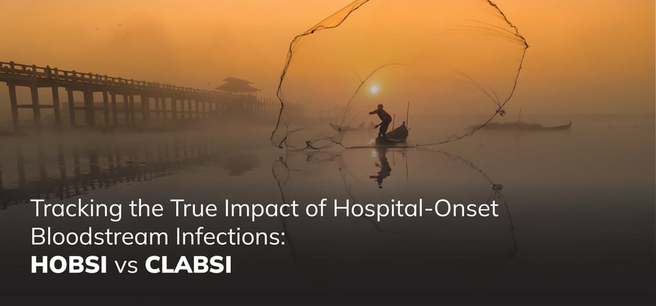 Tracking the True Impact of Hospital-Onset Bloodstream Infections: HOBSI vs CLABSI