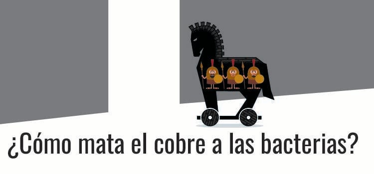 ¿Cómo mata el cobre a las bacterias?
