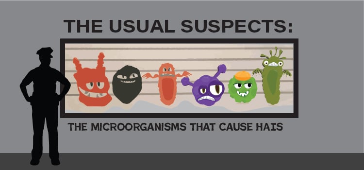 The Usual Suspects: The Microorganisms that Cause HAIs