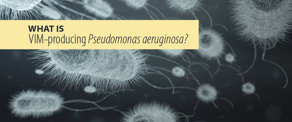 What is VIM Pseudomonas aeruginosa?
