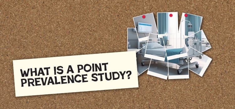 What is a Point Prevalence Study?