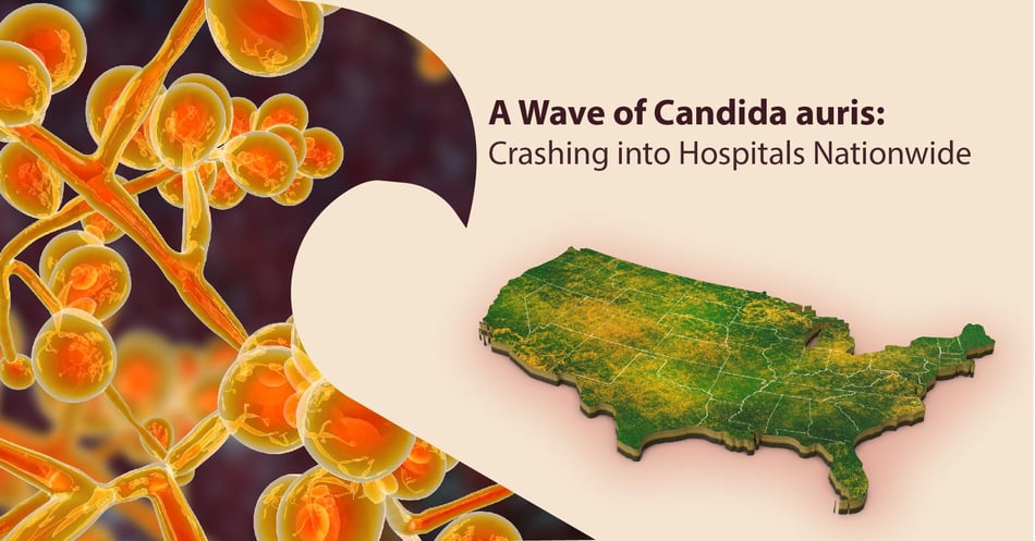A Wave of Candida auris infections: Crashing in Hospitals Nationwide