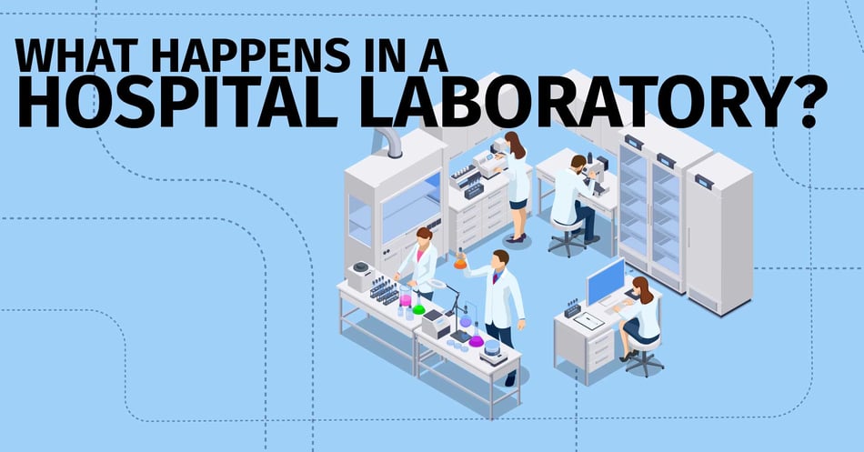 What Happens in a Hospital Laboratory?