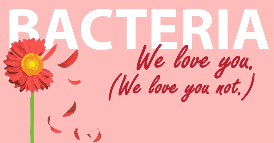 Our Love/Hate Relationship with Bacteria