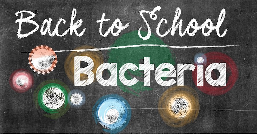 Back to School Bacteria