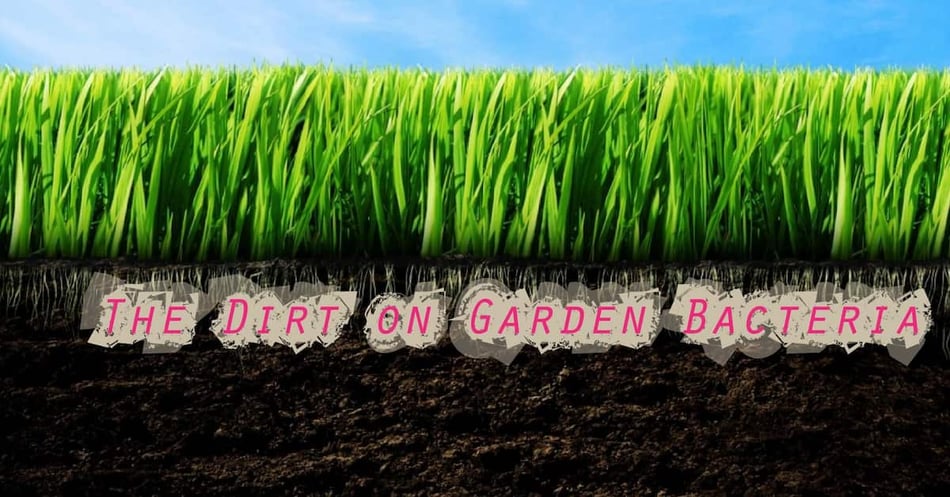 The Dirt on Garden Bacteria