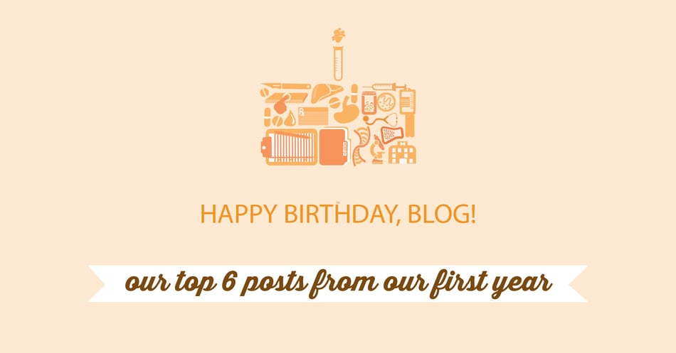 Top 6 Blog Posts from Our First Year!